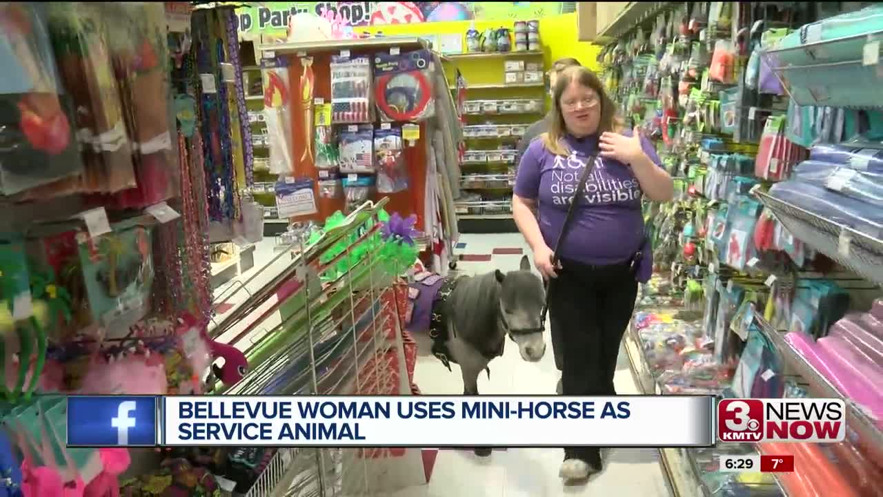 Bellevue woman copes with disability using a mini-horse as service animal