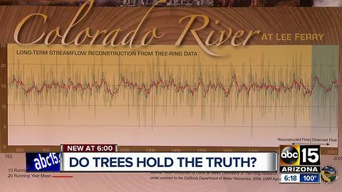 Trees may hold the truth to Arizona's drought history