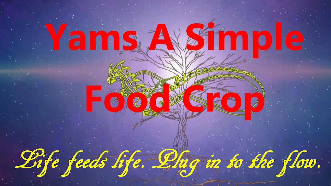 Yams A Simple Food Crop