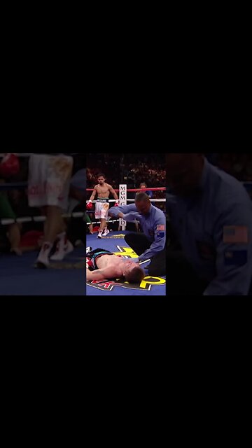 Boxing Fight