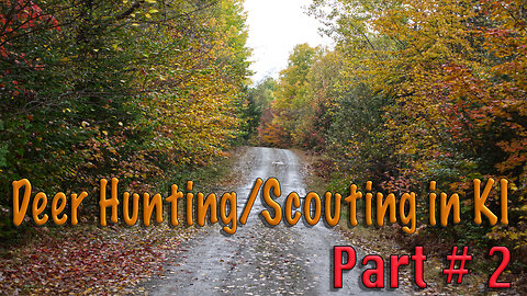 Deer Hunting/Scouting in KI P#2