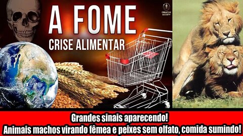 GRANDES SINAIS APARECENDO! ANIMAIS MACHOS VIRANDO FÊMEA E PEIXES SEM OLFATO, COMIDA SUMINDO!!!
