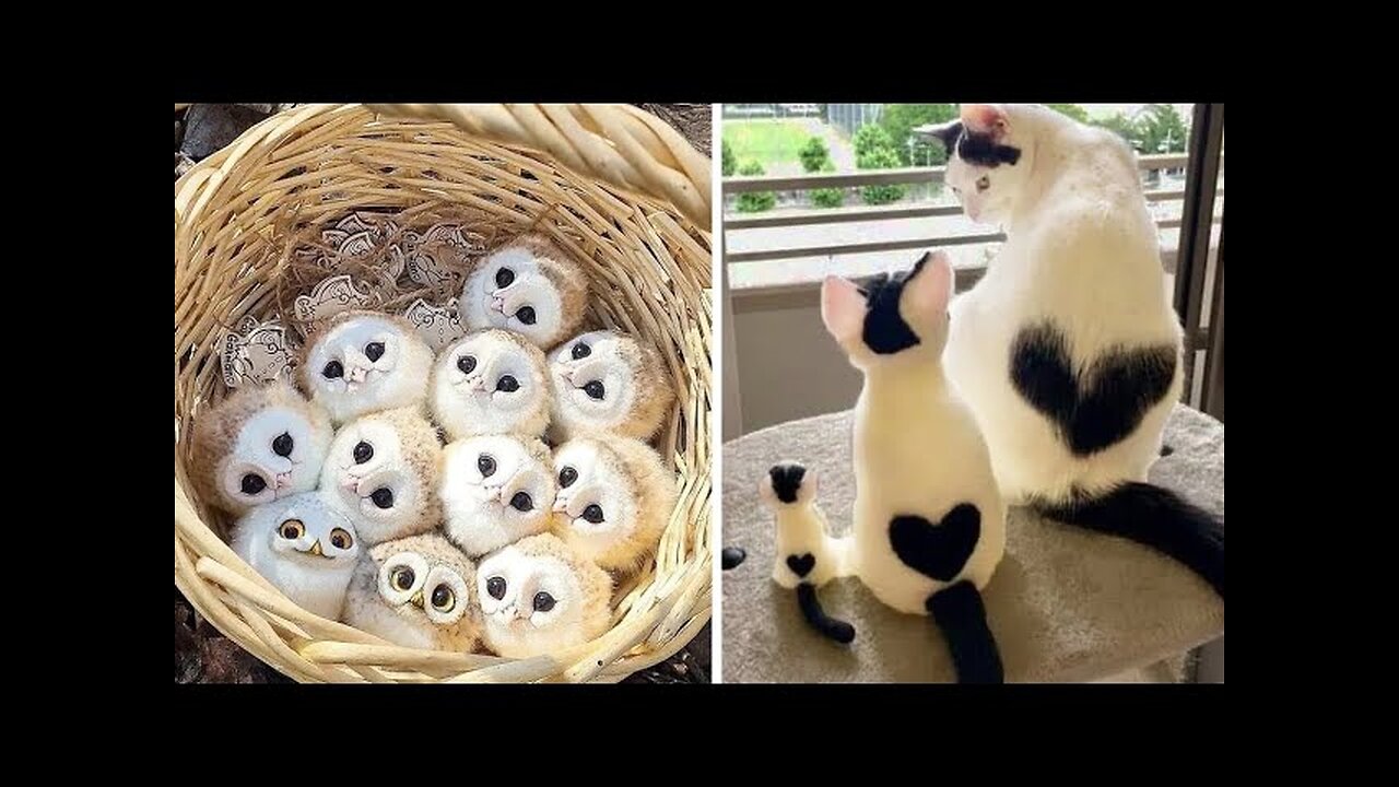 New Cute Baby Animals Videos Compilation | Funny and Cute Moment of the Animals #2 - Cutest Animals