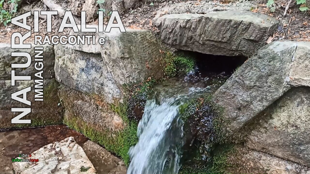 NATURA ITALIA - LE VENE DEL TEVERE