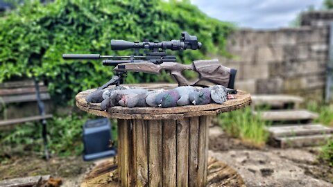 Feral pigeon shooting with silenced airguns UK sub 12