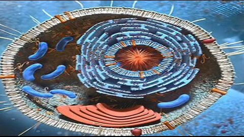 What is the main difference between cell biology and molecular biology?