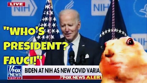 Biden just said it OUT LOUD: "WHO'S PRESIDENT? FAUCI!"