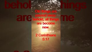Verse of the day | Inspirational Reading To Start Your Day. | 66