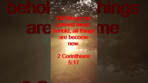 Verse of the day | Inspirational Reading To Start Your Day. | 66