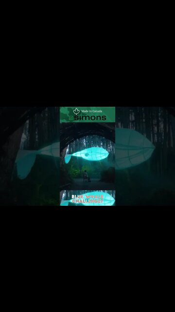 The Simons Canada, Blue Whale Challenge?!