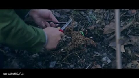 10 &&&&& Episode 11 BUSHCRAFT Survival in the Field How to Fly the Winter Shelter in Qinling Mountai