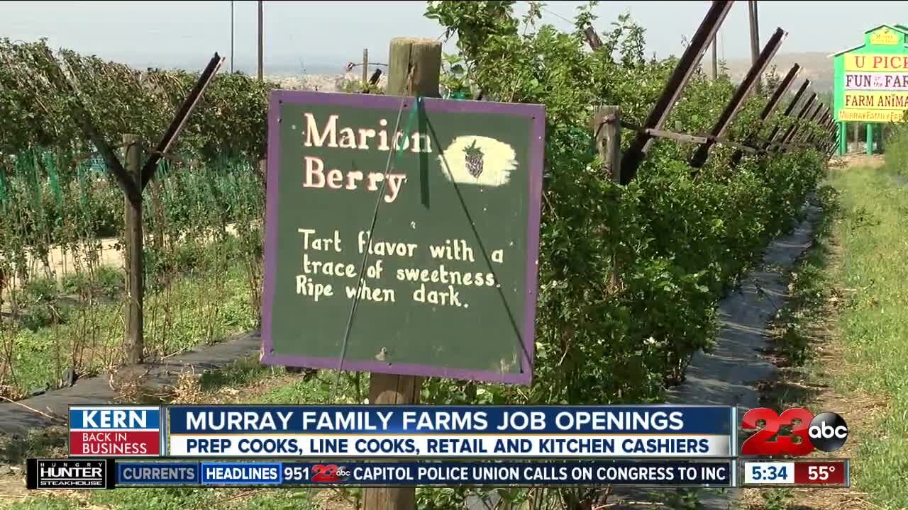 Murray Family Farms hiring for summer season