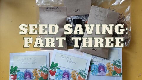 Seed Saving Part 3