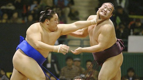 Japan Sumo Association May Reconsider Its Ban On Women In The Ring