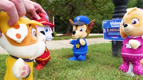 165 6Paw Patrol ¡Ve a nadar en un día caluroso y aprende sobre el dinero y la responsabilidad!