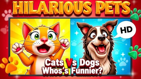 Stop Laughing Funny cat Video 2025