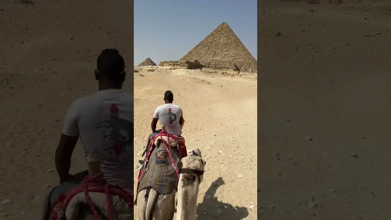 POV your first time on a camel #shorts