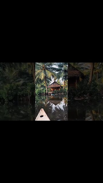 Sri Lanka is a large and green island surrounded by the ocean...