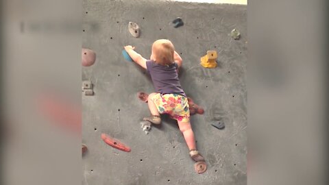 WORLD'S YOUNGEST WALL PRO CLIMBER