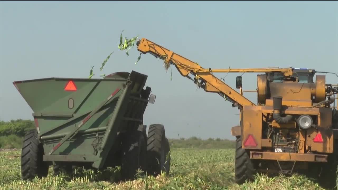 Florida farmers continue food production during Coronavirus outbreak