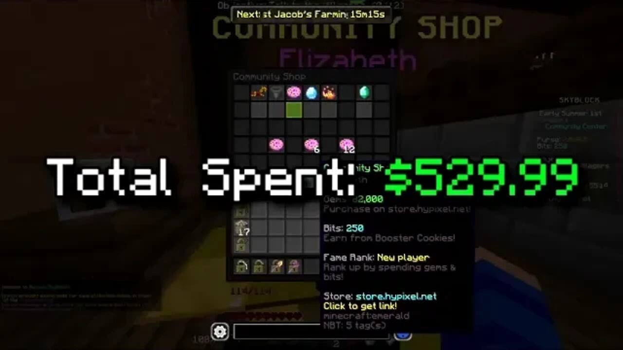 I Spent $10,000 to Destroy this Minecraft Server