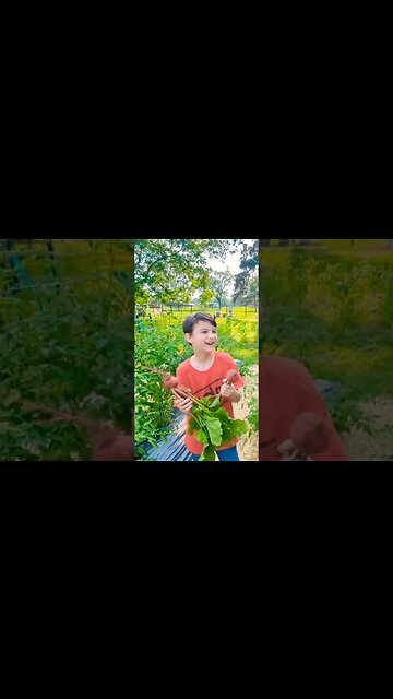 Beet That! #thedenmanhomestead #beets #bro