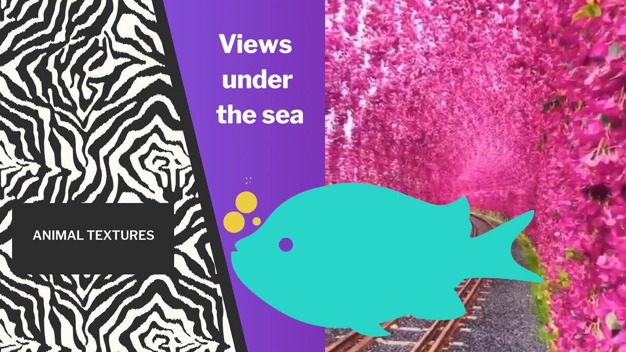 La Nature. Créatures marines (Hd 1080)