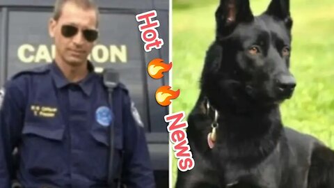 3 Thugs Drag Police Officer Into Woods To Kill Him, Never See K9's Reign Of Terror Coming
