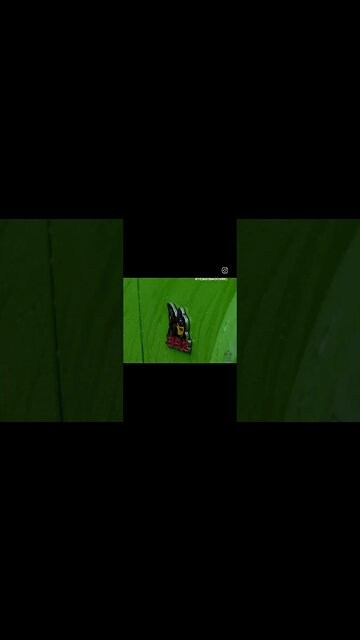 August 2023 Yulee Cars and Coffee meetup.