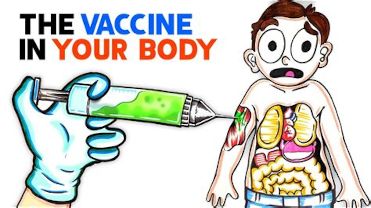 The Vaccine and the Mark of the Beast