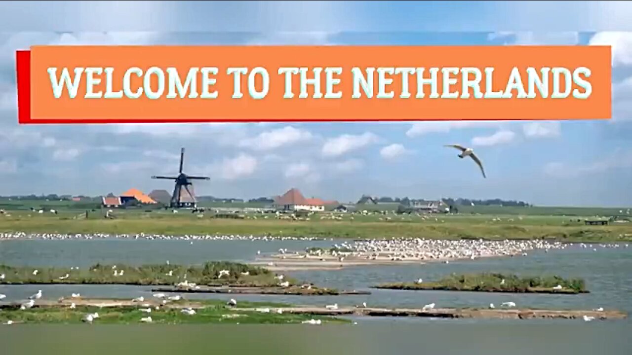 Janet Ossebaard - WELCOME TO THE NETHERLANDS - From a Democracy to a Police State