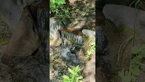 Beautiful Flowing water #asmr #nature #shortsfeed #short