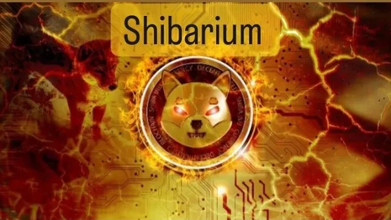 Conspiracy Theories Abound. #shib #bone #leash #shi #treat #qom