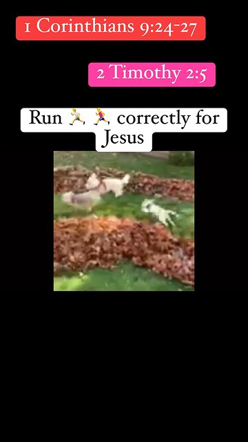 Run for Jesus - run the race correctly. Love You Jesus #Jesus #race #shorts