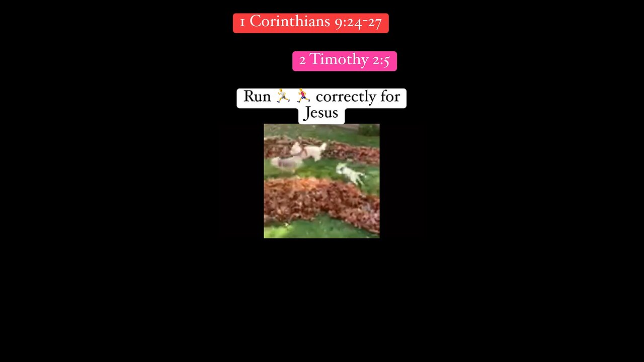 Run for Jesus - run the race correctly. Love You Jesus #Jesus #race #shorts