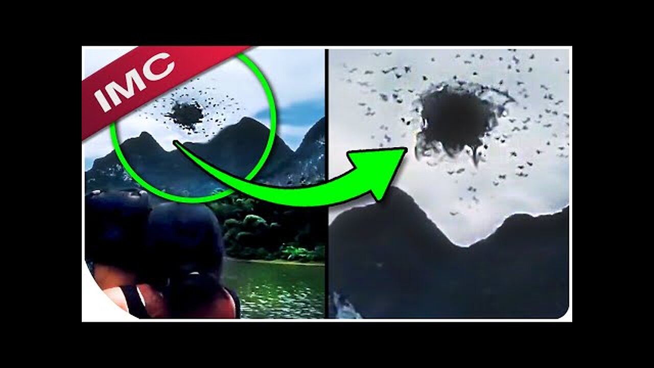 Mysterious Creatures That Are Freaking The Entire Internet Out