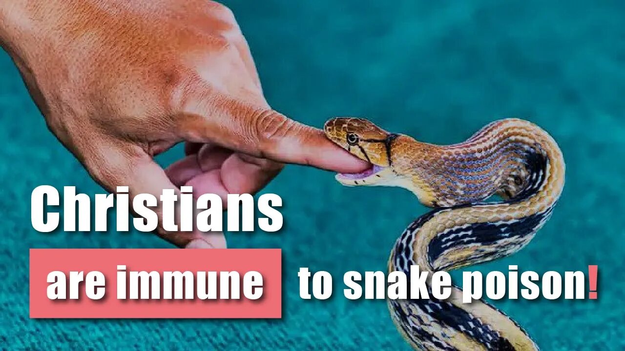 Snake poison doesn't affect Christians, and they can heal the sick??