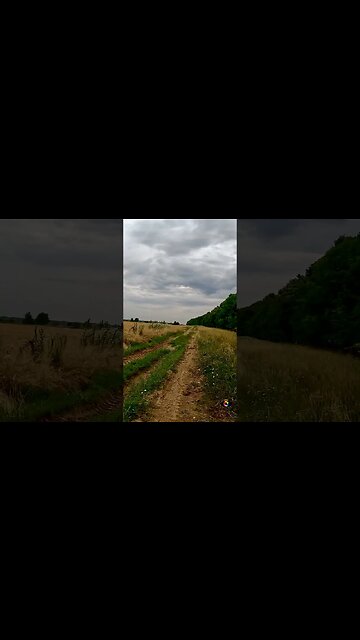 Bolintin forest ride | Ambiental music | 4k Virtual Tour | #shorts