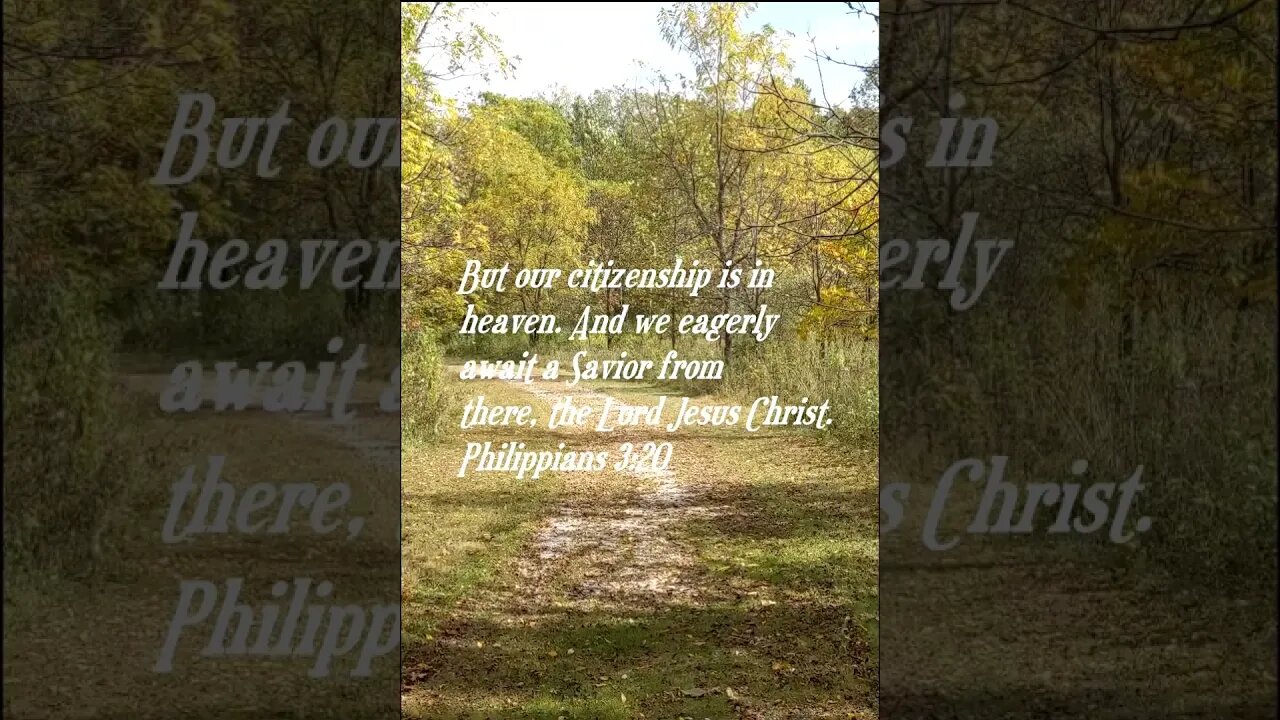 Daily Bible Verse short for today