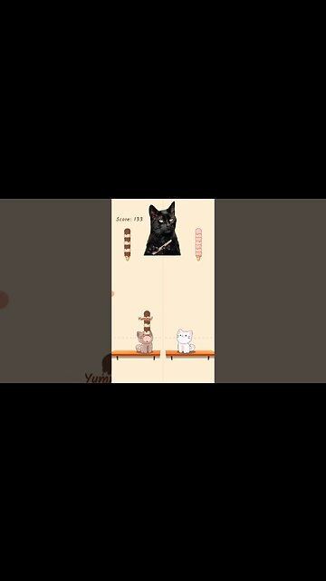 cat cute sing - Believe #shorts #music #song