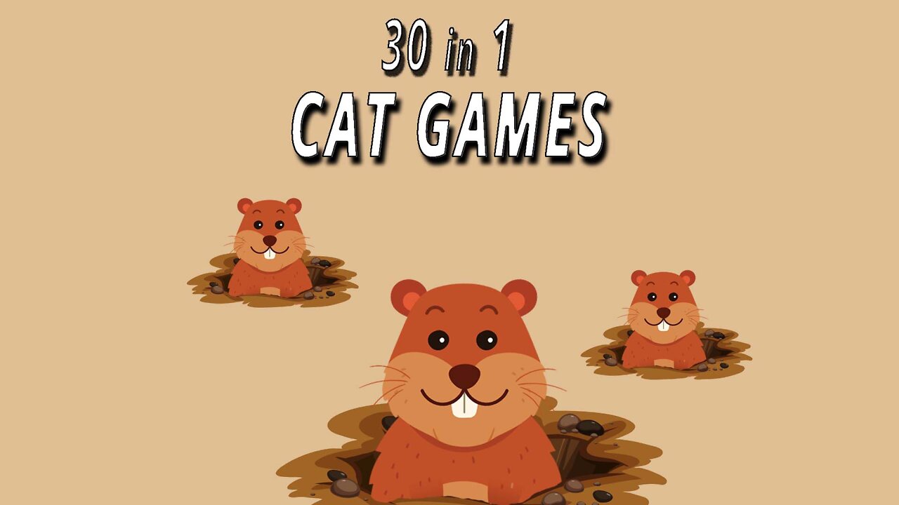 CAT GAMES: 30 in 1