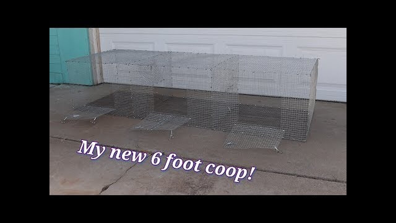 How To Make Your Own 6 Foot Quail Coop!