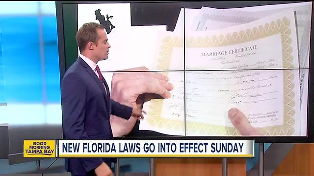 New Florida laws that go into effect Sunday