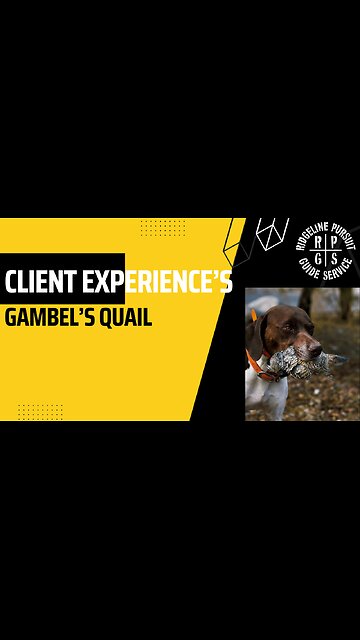 Ridgeline Pursuit Guide Service-Gambel's Quail Hunt Client Experience.
