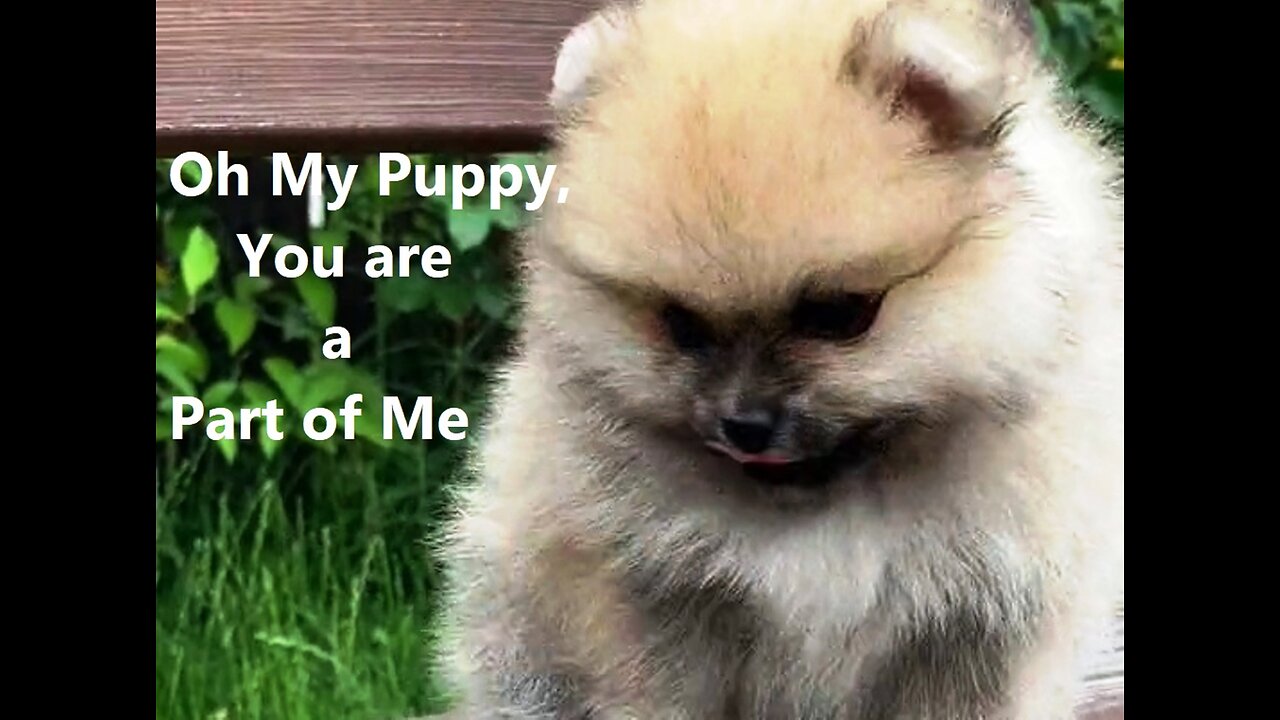 Oh My Puppy, You are a Part of Me