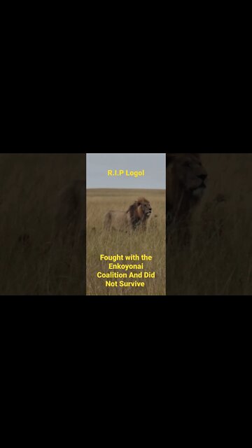 R.I.P Logol