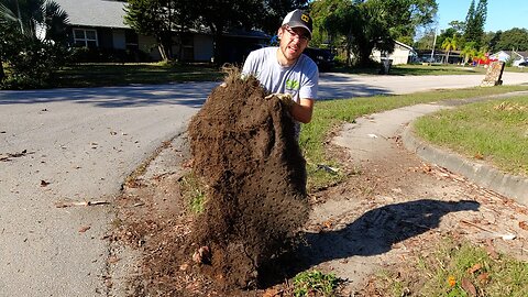 Homeowner SHOCKED at the BIGGEST Sidewalk reveal I've EVER done