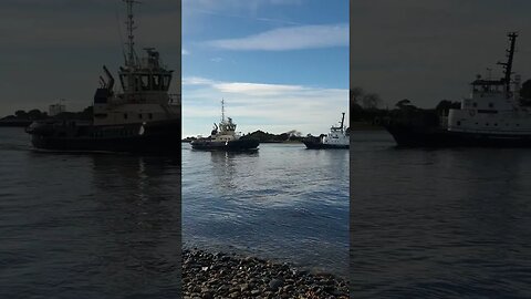 Tugboats In The River. Devonport Tasmania. #trending #shorts #merchantnavy #tuglife #tugboats #tugs