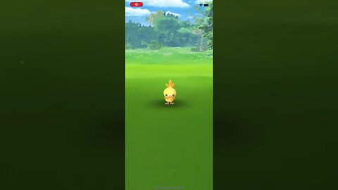 Shiny Torchic
