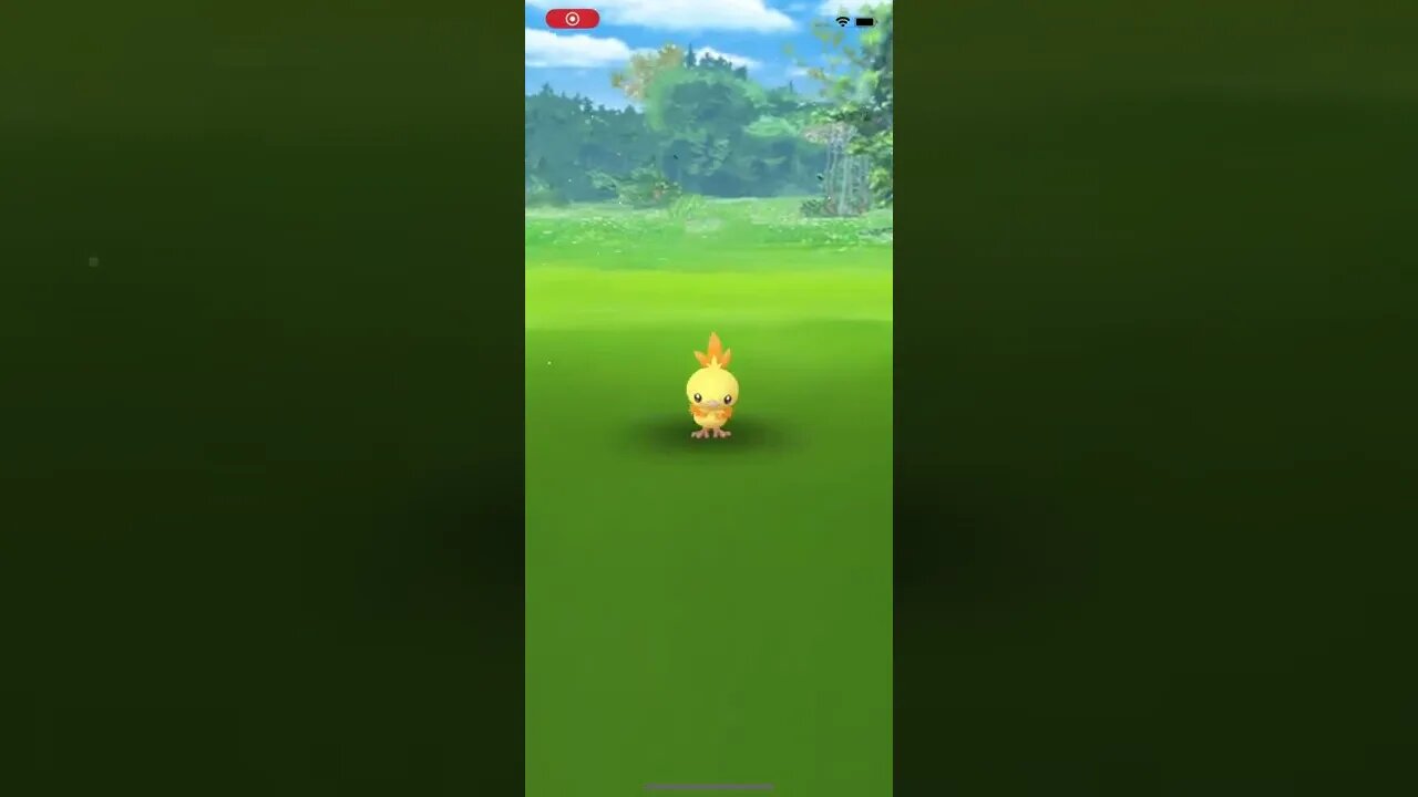 Shiny Torchic